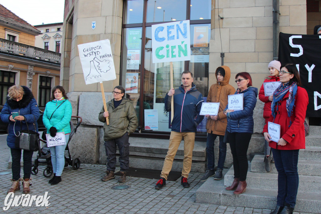 Protest przeciwko wycinkom drzew