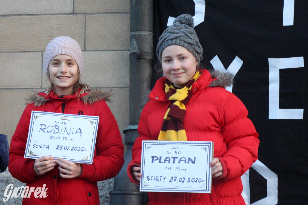 Protest przeciwko wycinkom drzew