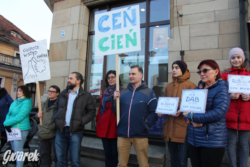 Protest przeciwko wycinkom drzew