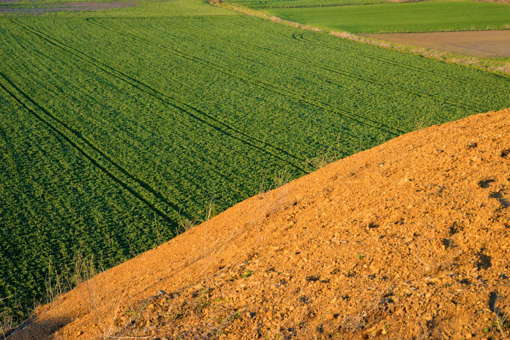 Wiosna na hałdzie popłuczkowej