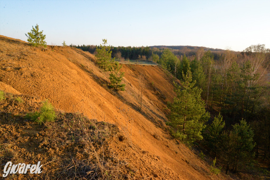 Wiosna na hałdzie popłuczkowej