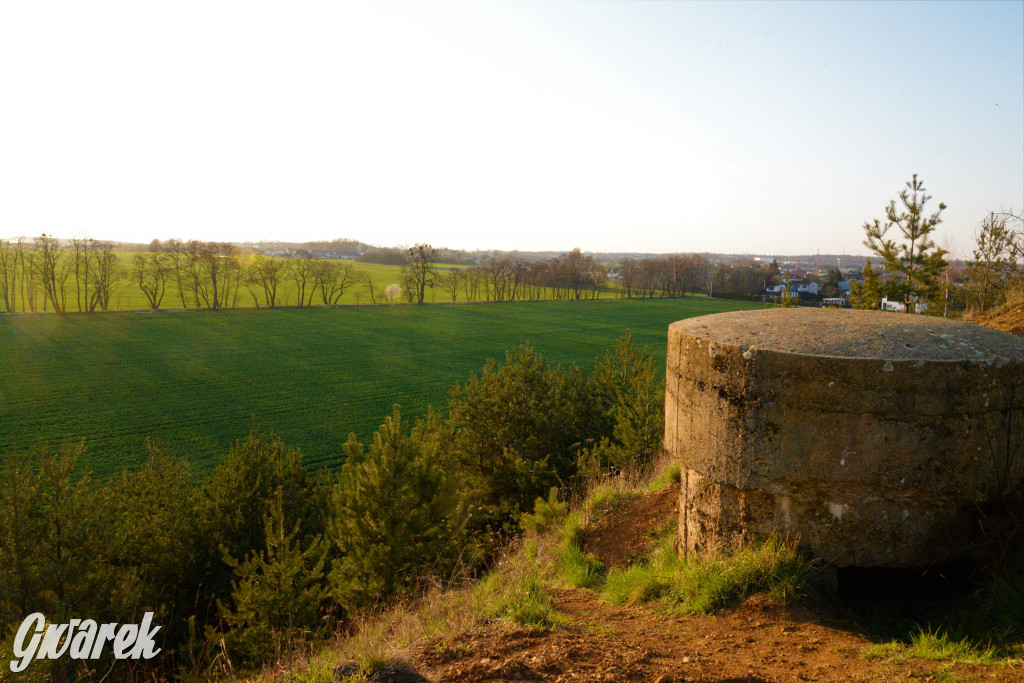 Wiosna na hałdzie popłuczkowej