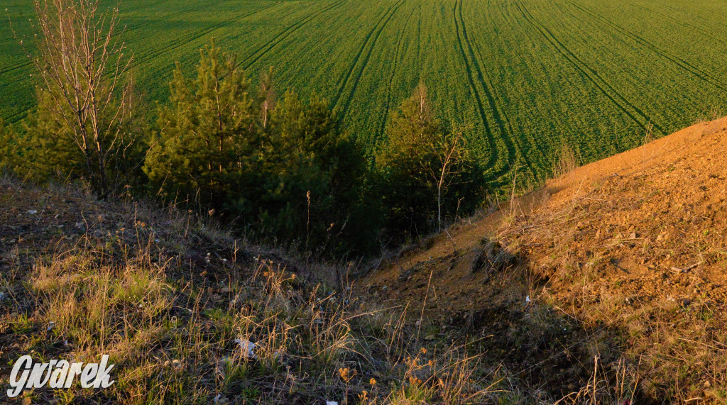 Wiosna na hałdzie popłuczkowej