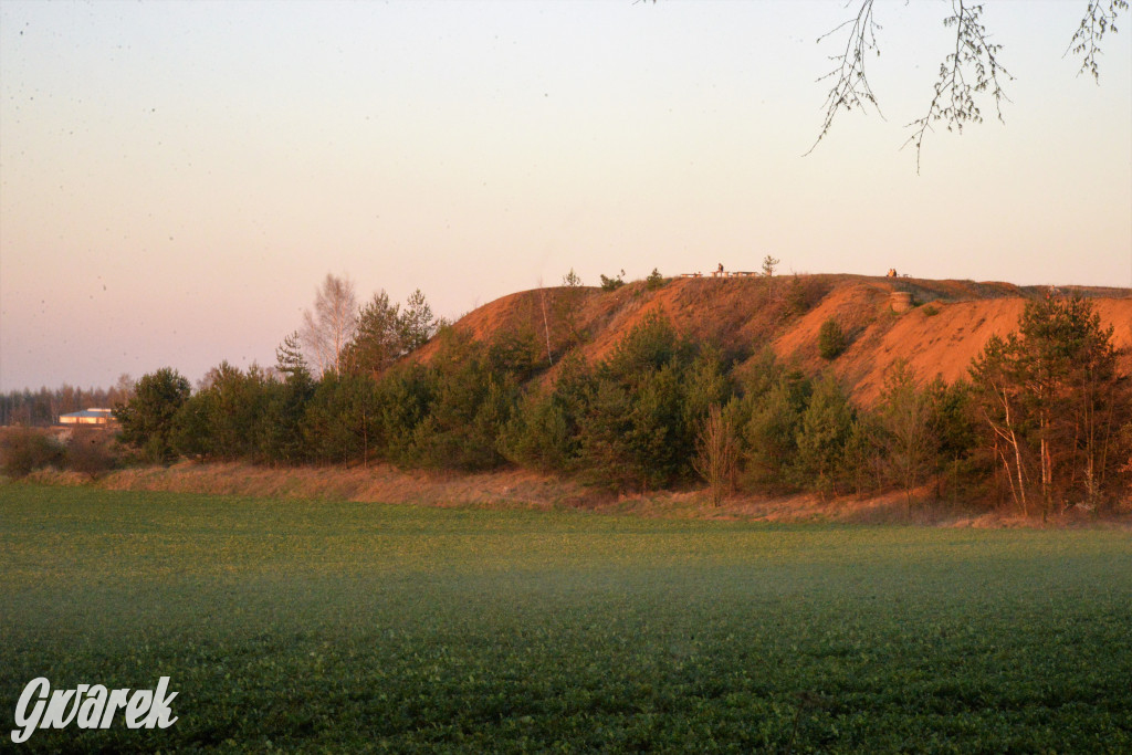 Wiosna na hałdzie popłuczkowej