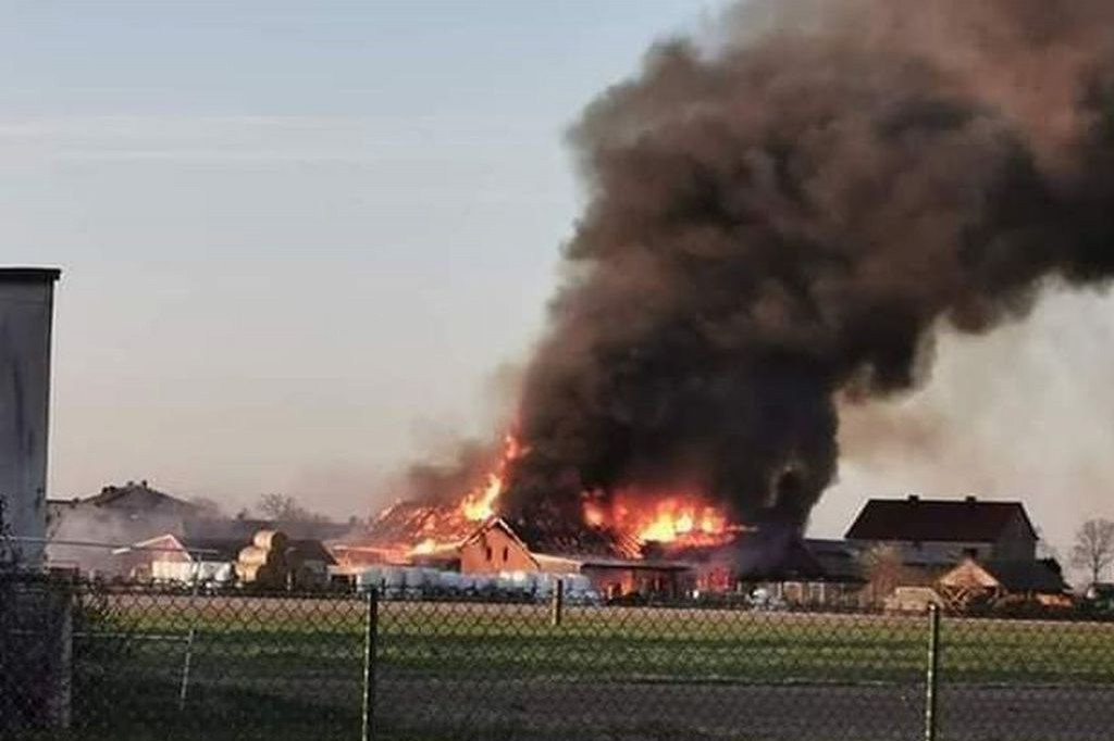 W pożarze zginęły konie, cielęta i pies