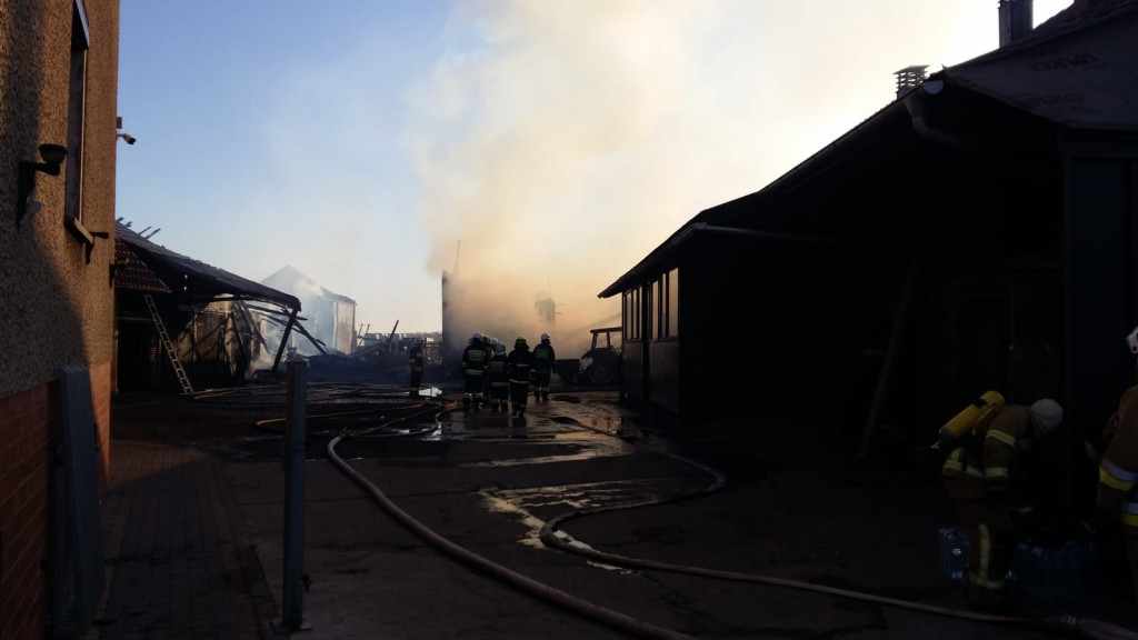 W pożarze zginęły konie, cielęta i pies