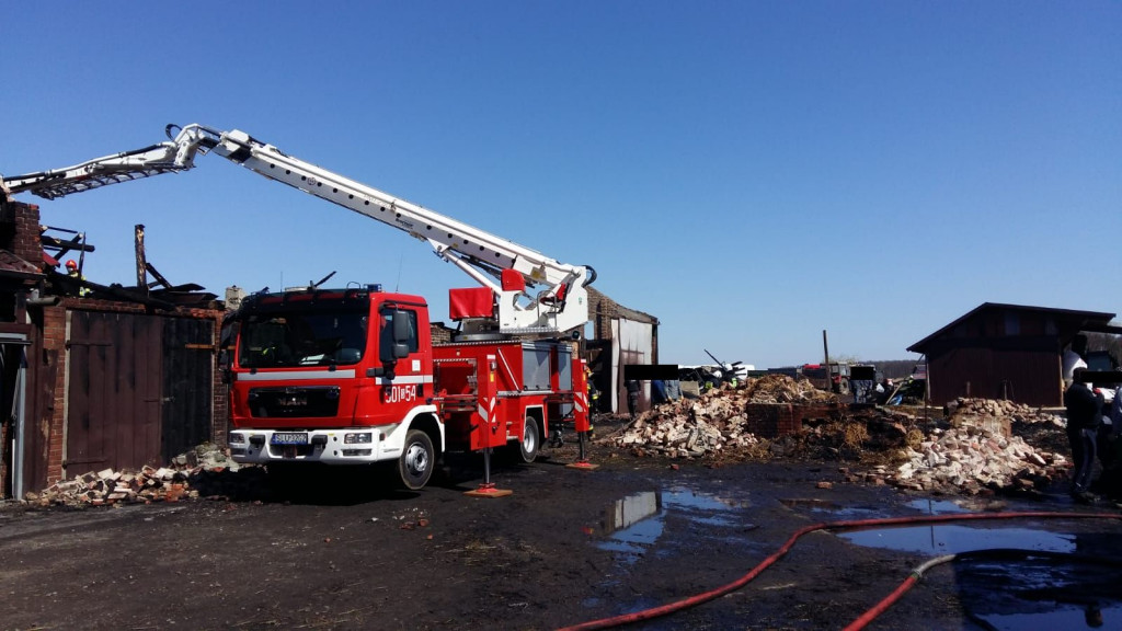 W pożarze zginęły konie, cielęta i pies