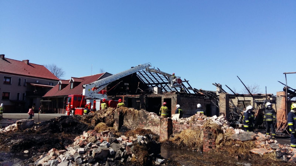 W pożarze zginęły konie, cielęta i pies