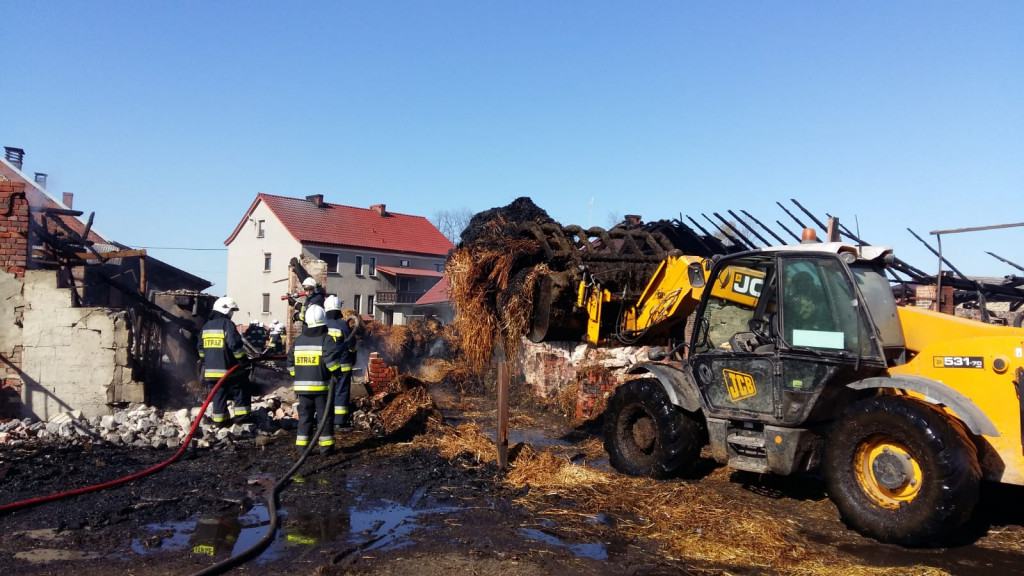 W pożarze zginęły konie, cielęta i pies