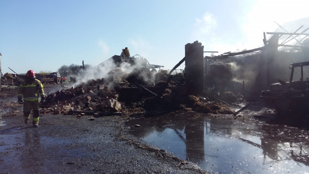 W pożarze zginęły konie, cielęta i pies