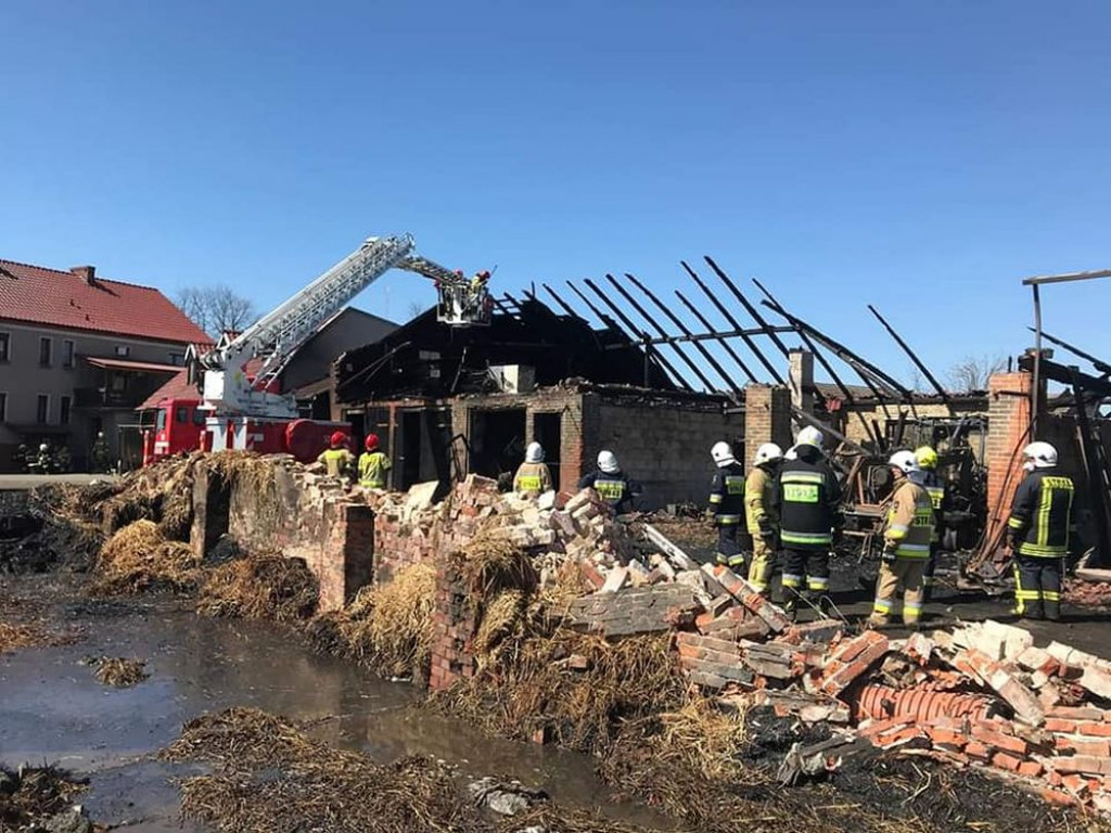 W pożarze zginęły konie, cielęta i pies