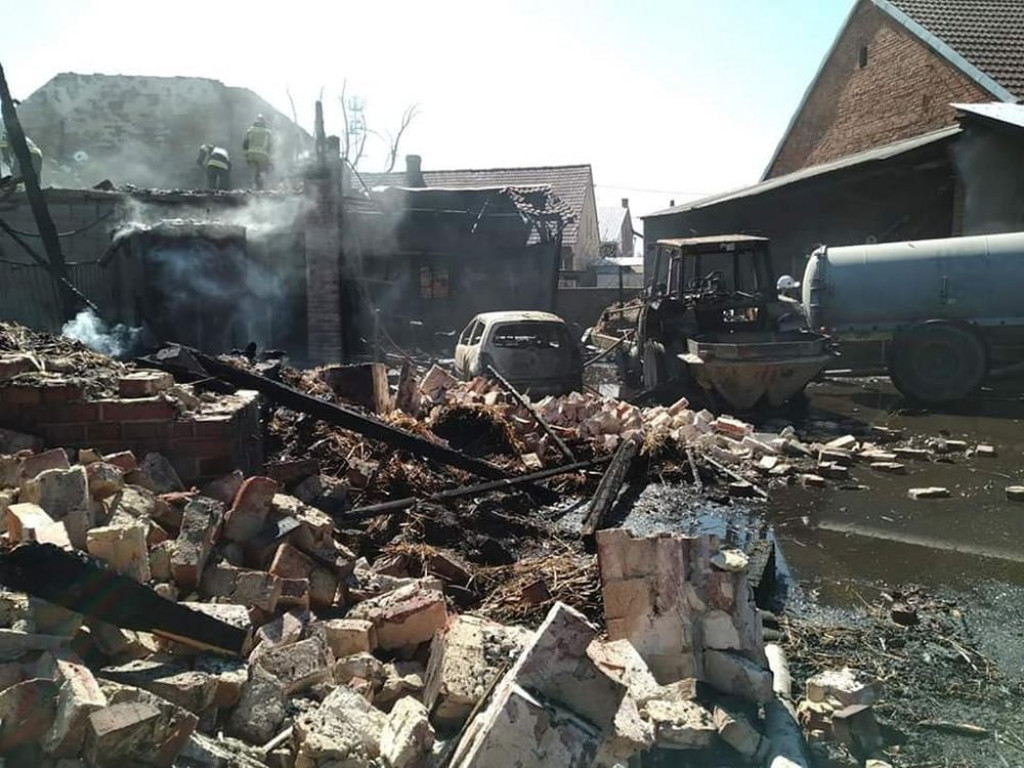 W pożarze zginęły konie, cielęta i pies