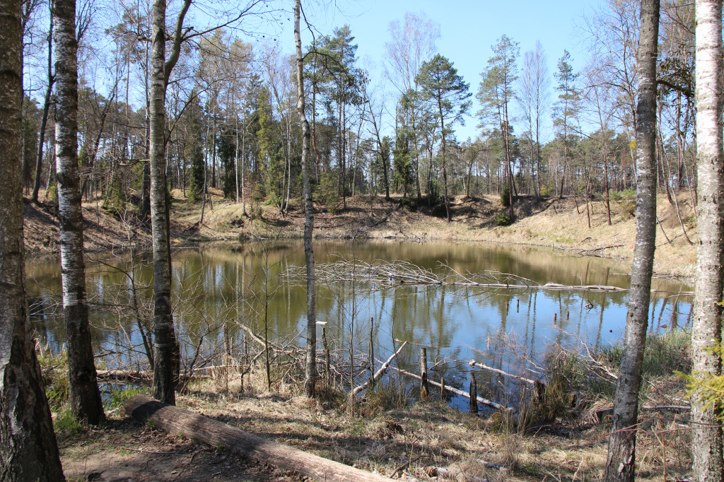Gdzie jechać na wycieczkę rowerową? Podpowiadamy