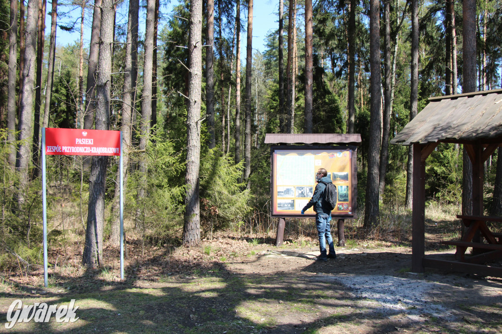 Gdzie jechać na wycieczkę rowerową? Podpowiadamy