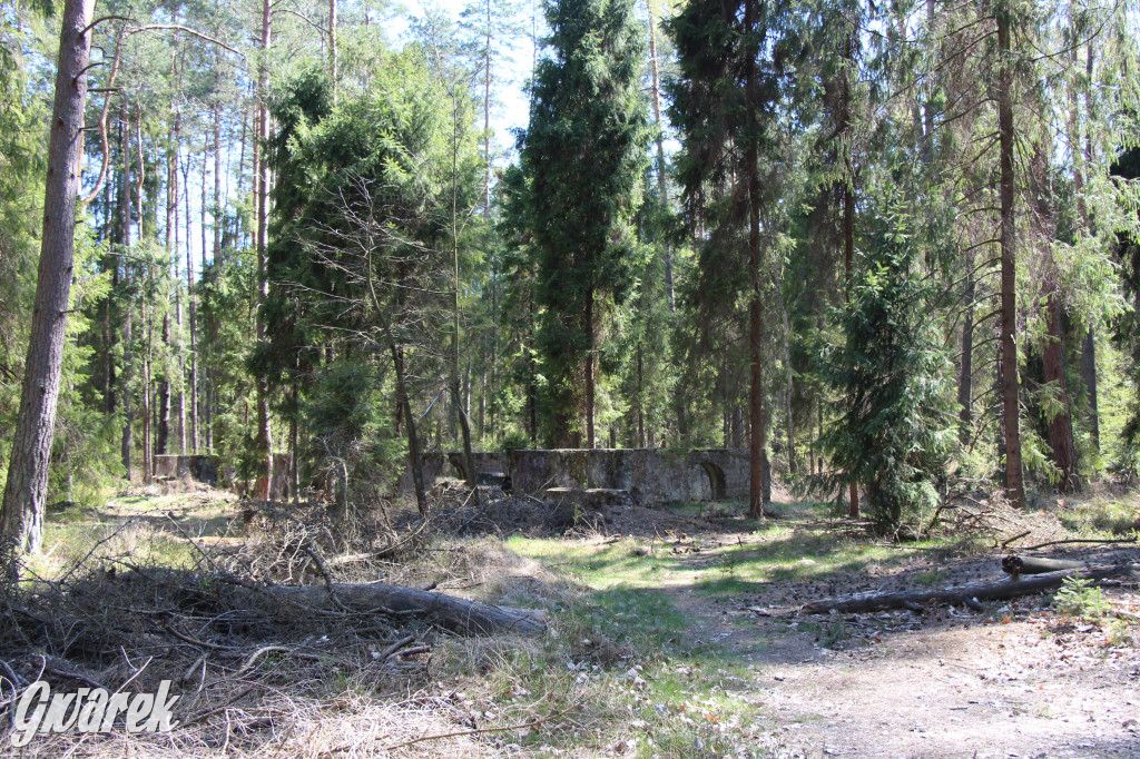 Gdzie jechać na wycieczkę rowerową? Podpowiadamy