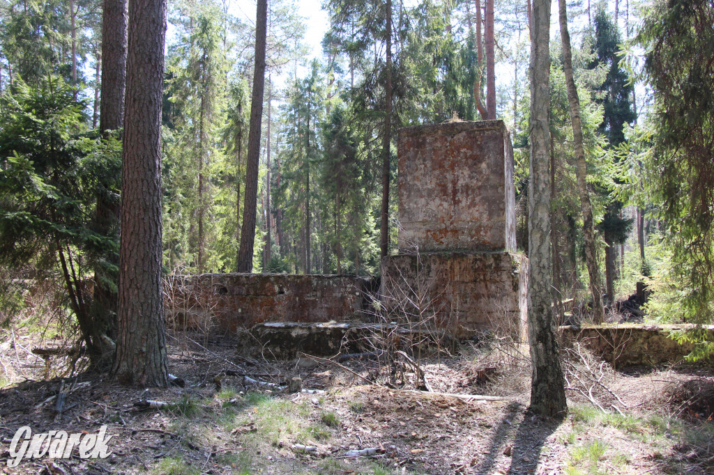 Gdzie jechać na wycieczkę rowerową? Podpowiadamy
