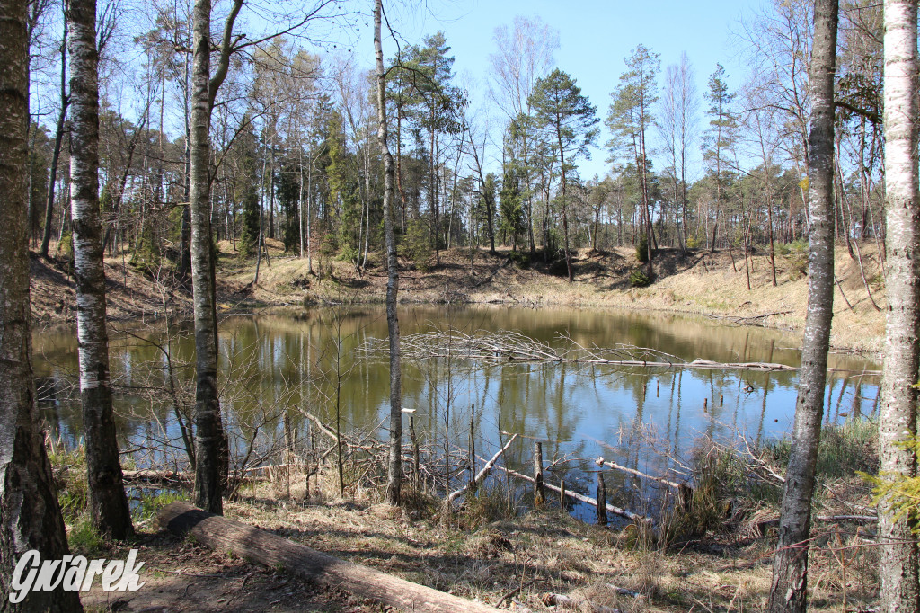 Gdzie jechać na wycieczkę rowerową? Podpowiadamy