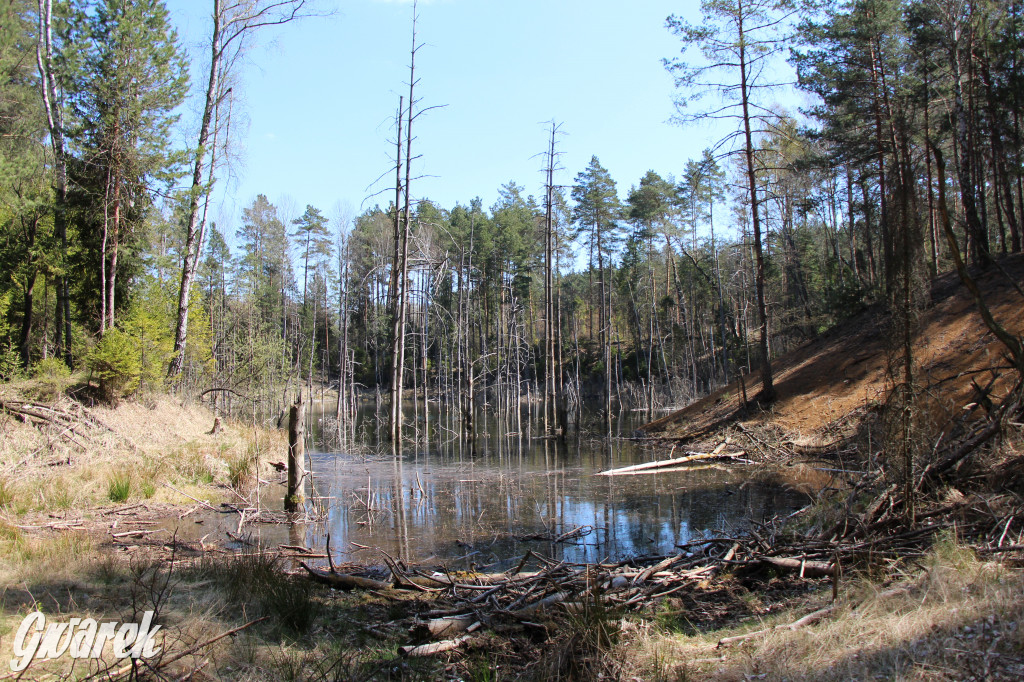 Gdzie jechać na wycieczkę rowerową? Podpowiadamy