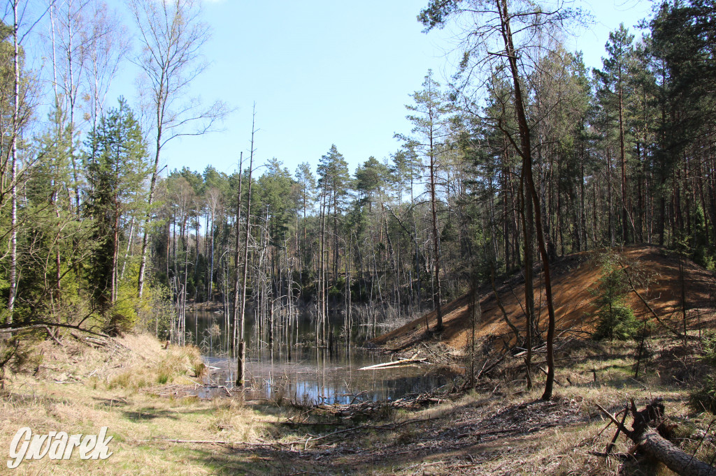 Gdzie jechać na wycieczkę rowerową? Podpowiadamy