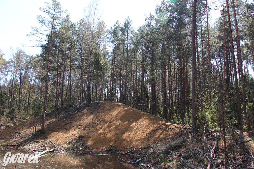 Gdzie jechać na wycieczkę rowerową? Podpowiadamy