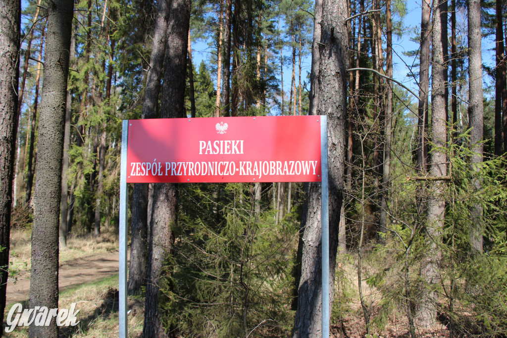 Gdzie jechać na wycieczkę rowerową? Podpowiadamy