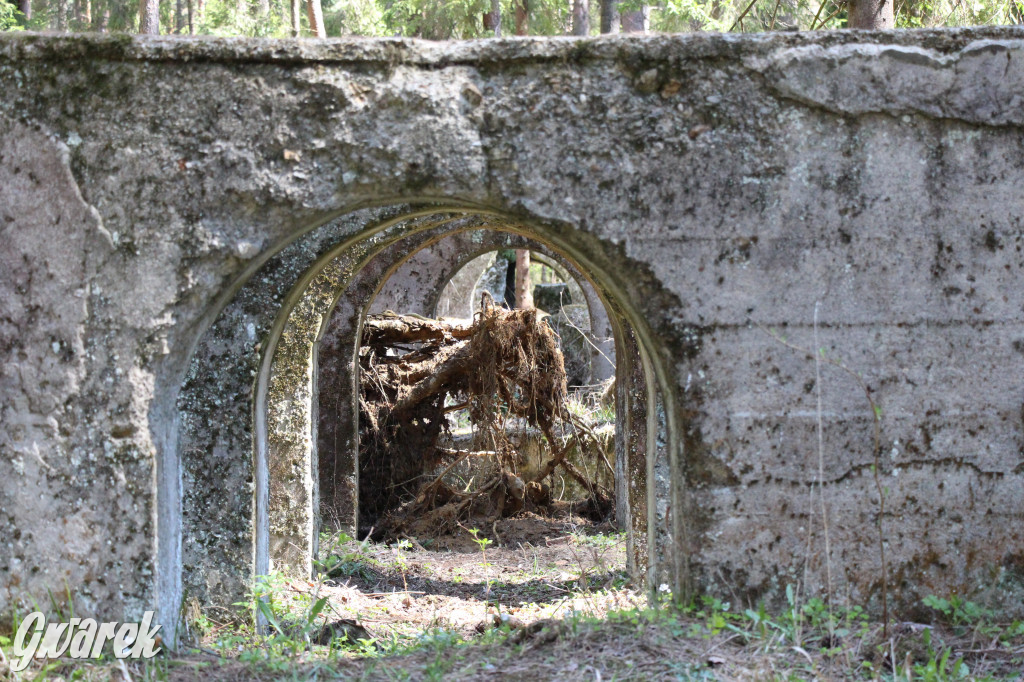 Gdzie jechać na wycieczkę rowerową? Podpowiadamy