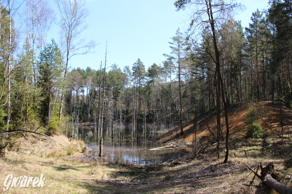 Gdzie jechać na wycieczkę rowerową? Podpowiadamy