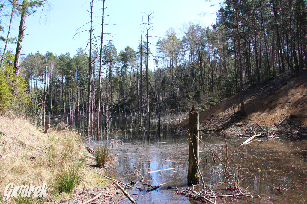 Gdzie jechać na wycieczkę rowerową? Podpowiadamy