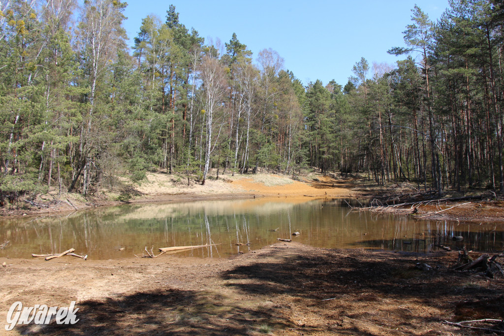 Gdzie jechać na wycieczkę rowerową? Podpowiadamy