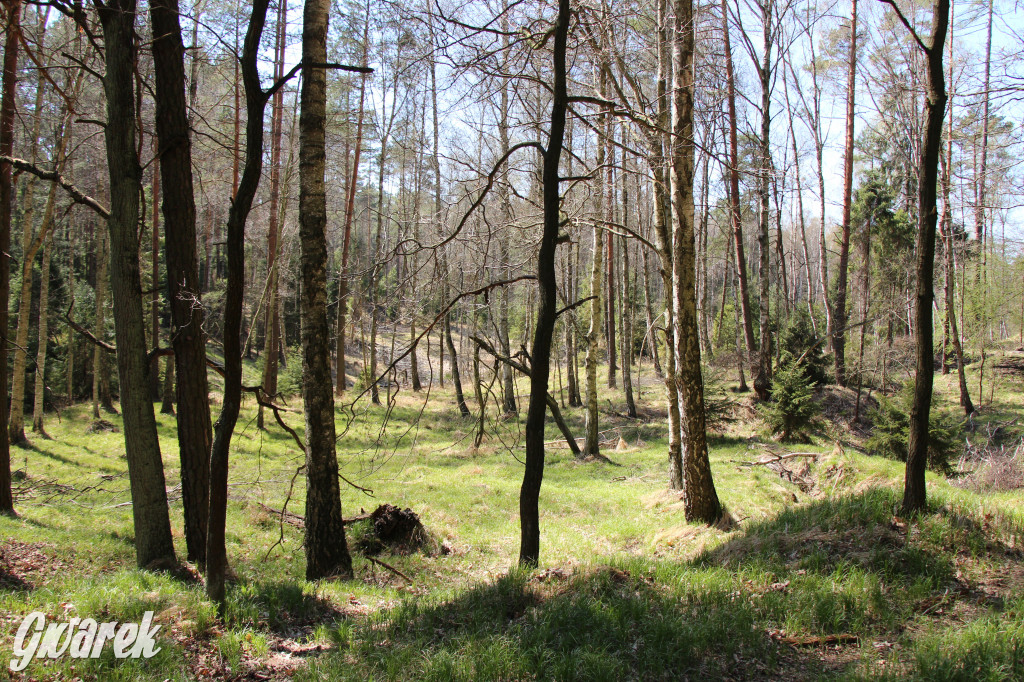 Gdzie jechać na wycieczkę rowerową? Podpowiadamy