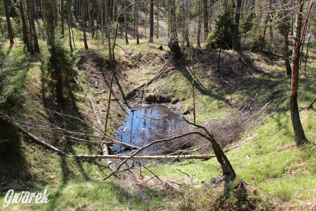 Gdzie jechać na wycieczkę rowerową? Podpowiadamy
