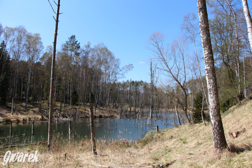 Gdzie jechać na wycieczkę rowerową? Podpowiadamy