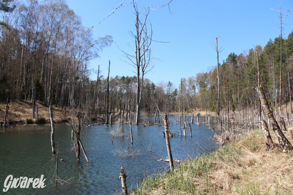Gdzie jechać na wycieczkę rowerową? Podpowiadamy