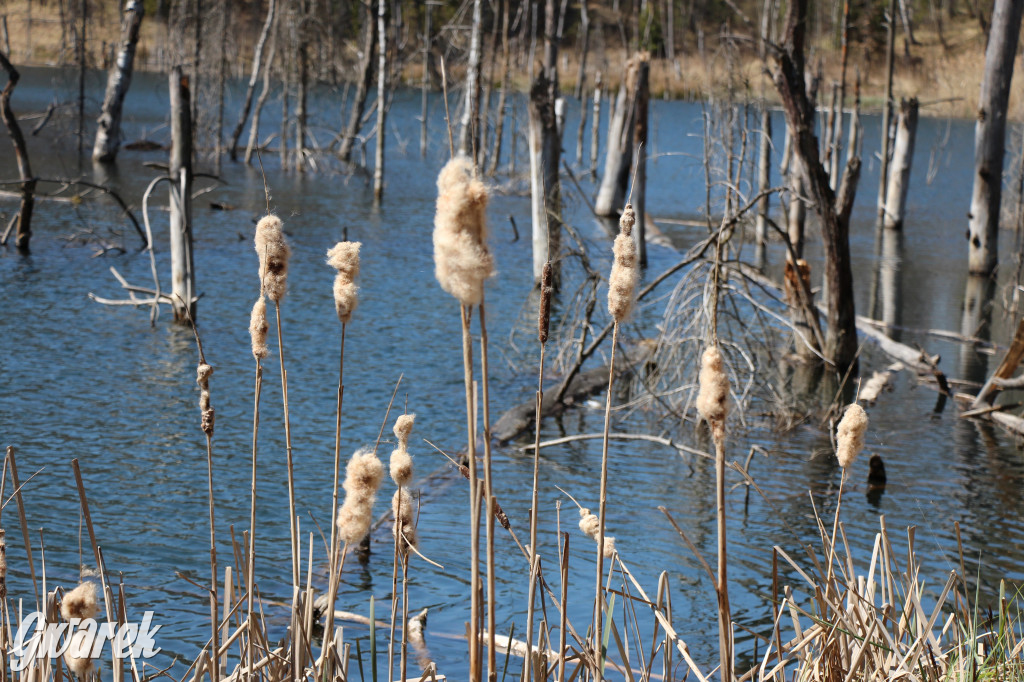 Gdzie jechać na wycieczkę rowerową? Podpowiadamy