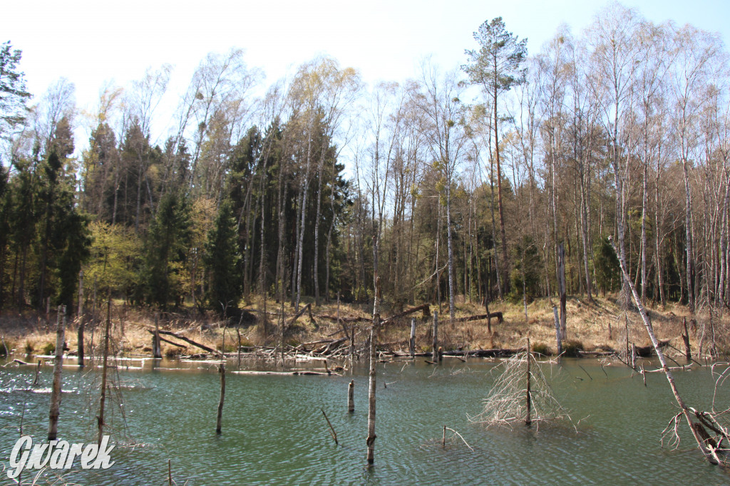 Gdzie jechać na wycieczkę rowerową? Podpowiadamy