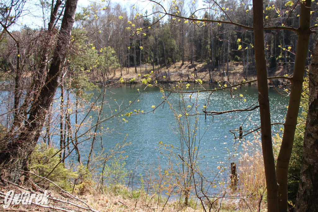 Gdzie jechać na wycieczkę rowerową? Podpowiadamy