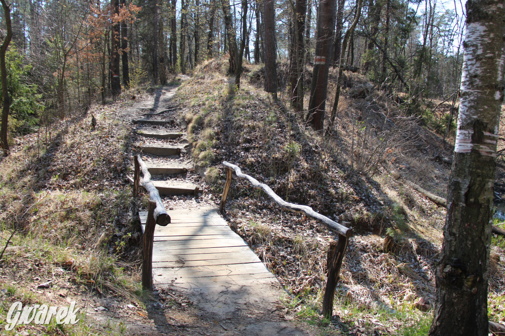 Gdzie jechać na wycieczkę rowerową? Podpowiadamy