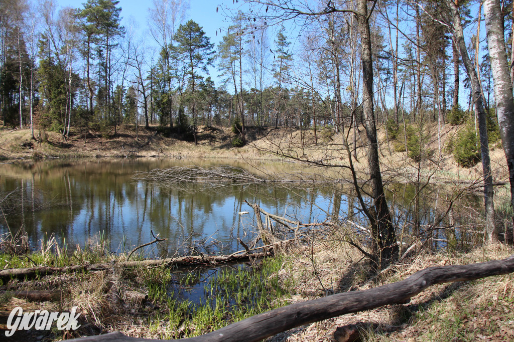 Gdzie jechać na wycieczkę rowerową? Podpowiadamy
