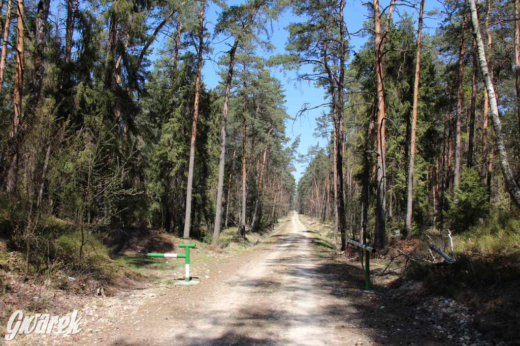Gdzie jechać na wycieczkę rowerową? Podpowiadamy