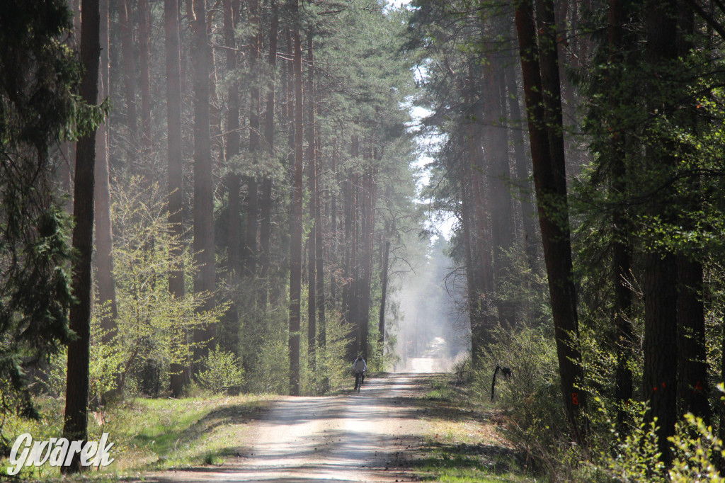 Gdzie jechać na wycieczkę rowerową? Podpowiadamy