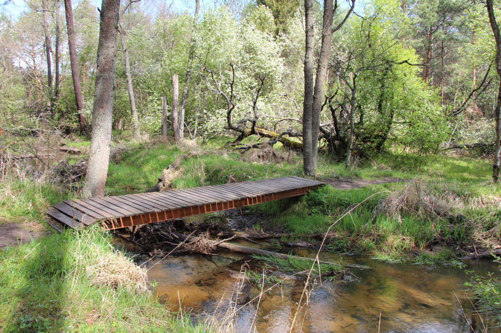 Zielona. Miejsce na spacer i wypad na rowerze