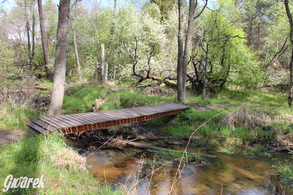 Zielona. Miejsce na spacer i wypad na rowerze