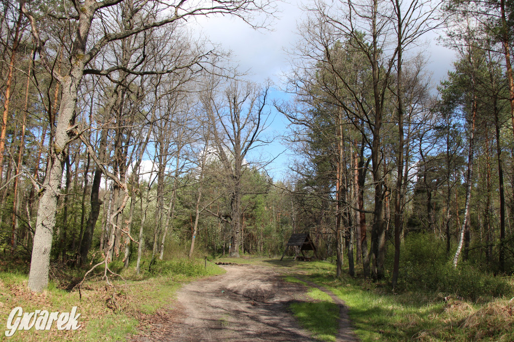 Zielona. Miejsce na spacer i wypad na rowerze