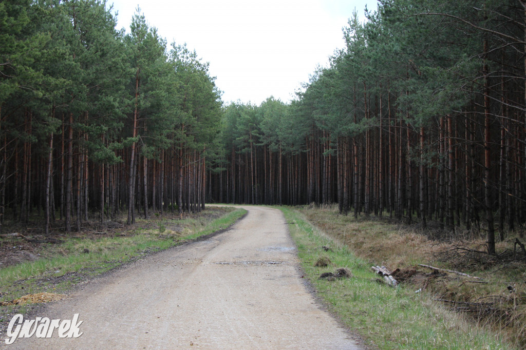 Zielona. Miejsce na spacer i wypad na rowerze