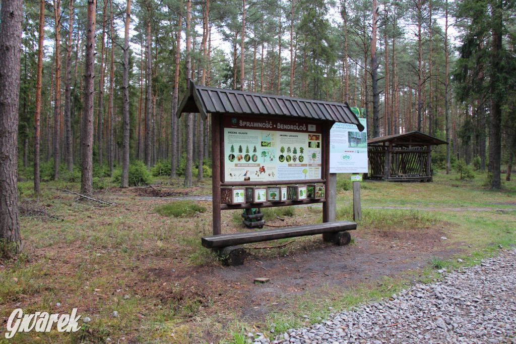 Zielona. Miejsce na spacer i wypad na rowerze