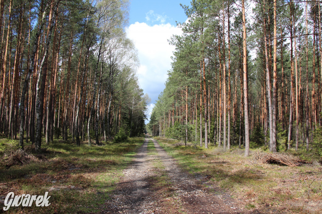 Zielona. Miejsce na spacer i wypad na rowerze