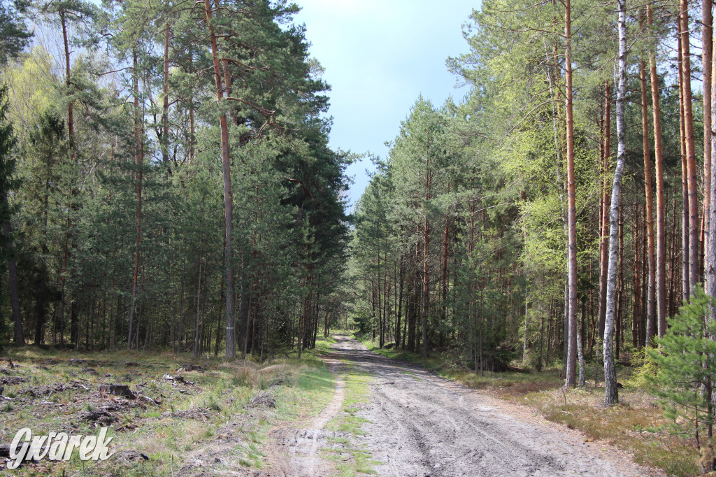 Zielona. Miejsce na spacer i wypad na rowerze
