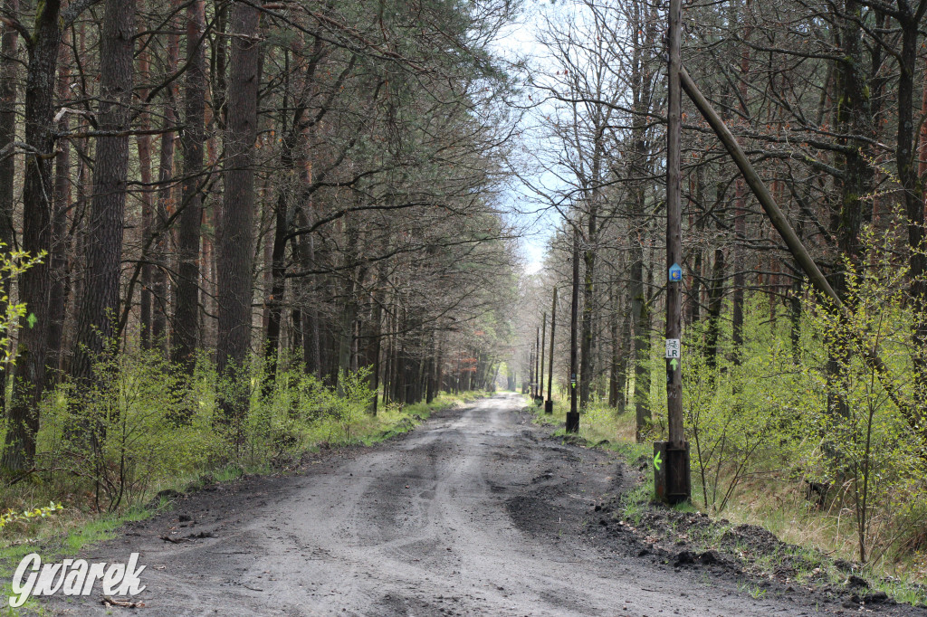 Zielona. Miejsce na spacer i wypad na rowerze