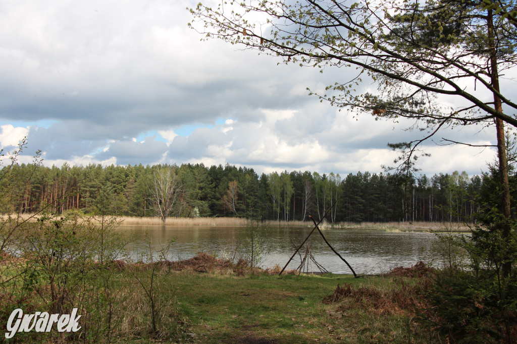 Zielona. Miejsce na spacer i wypad na rowerze