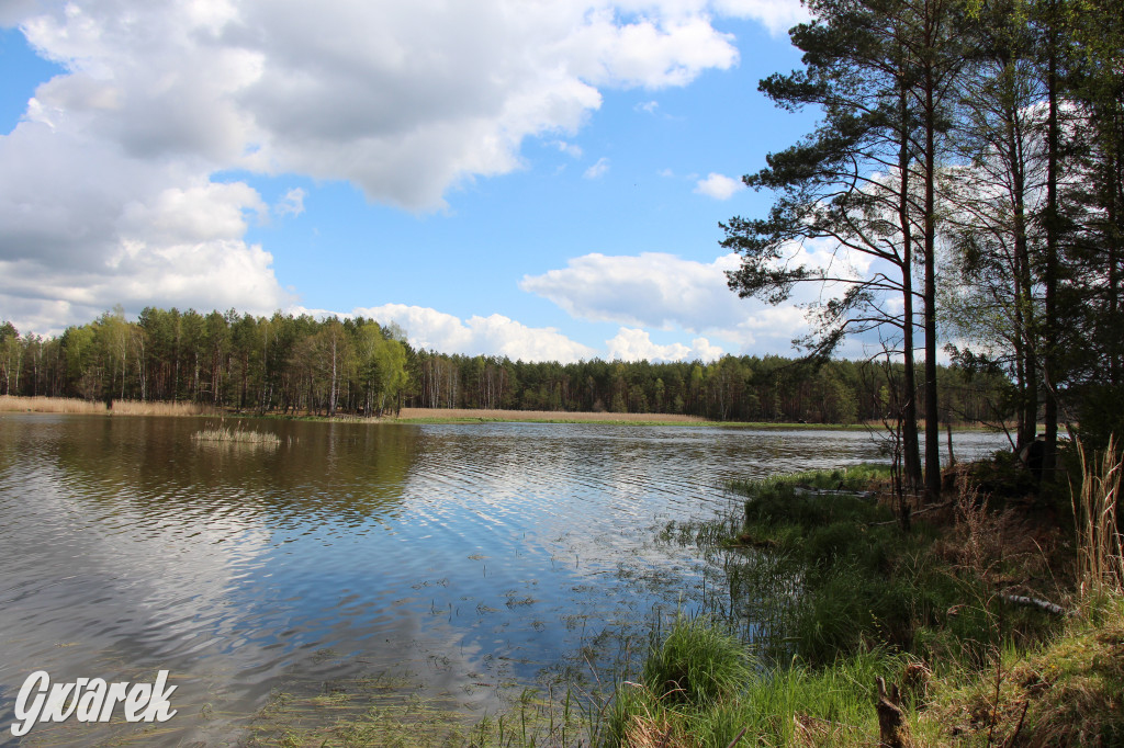 Zielona. Miejsce na spacer i wypad na rowerze